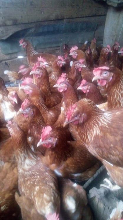 2015 - KIGORO mission photo