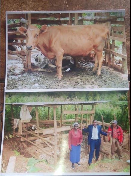 2015 - KIGORO mission photo